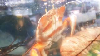 кулинарен блог