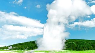 LG DEMO 4K 2019 FRESH