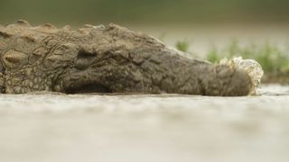 Buy 4K Relaxation Channel merchandise