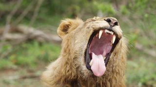 Buy 4K Relaxation Channel merchandise