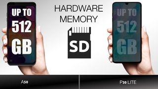 Buy Varieties Teck merchandise