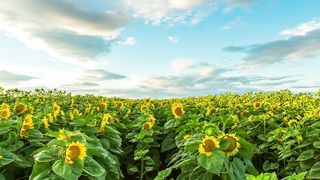 Time-lapse video shows off Sacramento's beauty at night