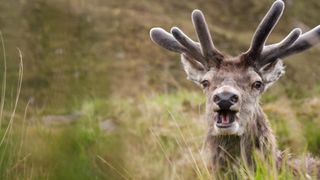 DEITY: Torridon featuring Martha Gill